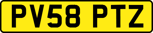 PV58PTZ
