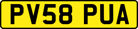 PV58PUA