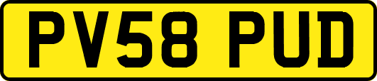 PV58PUD