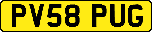 PV58PUG