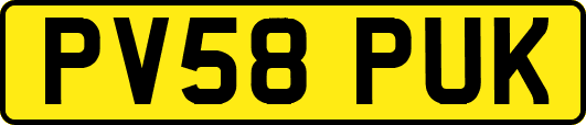 PV58PUK