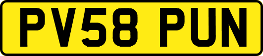 PV58PUN