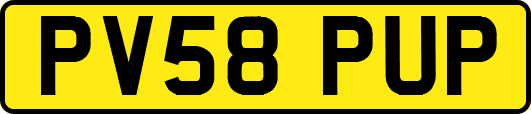 PV58PUP