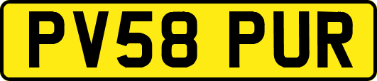 PV58PUR