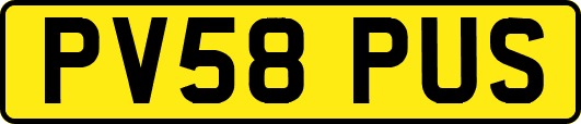PV58PUS