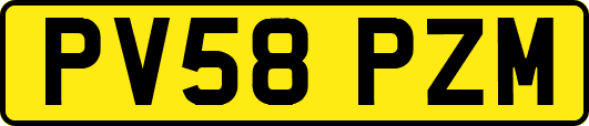 PV58PZM