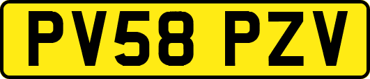 PV58PZV