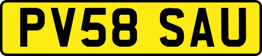 PV58SAU