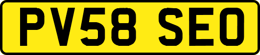 PV58SEO