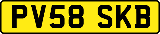PV58SKB