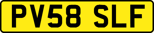 PV58SLF
