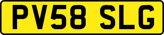 PV58SLG