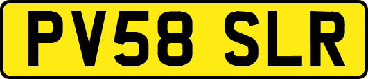 PV58SLR