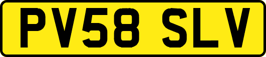 PV58SLV