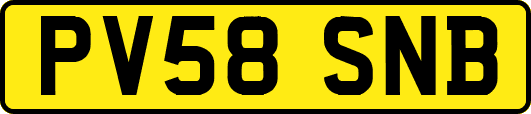 PV58SNB