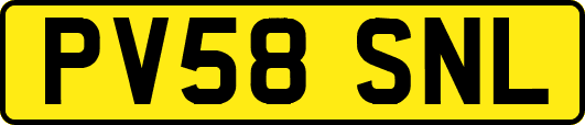 PV58SNL