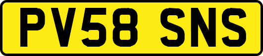 PV58SNS