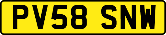 PV58SNW