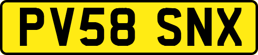 PV58SNX