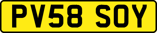PV58SOY