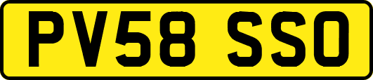 PV58SSO