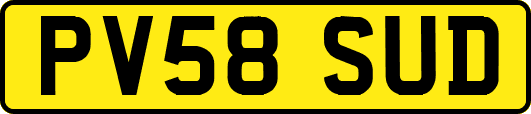 PV58SUD