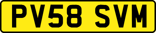 PV58SVM