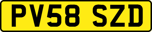 PV58SZD