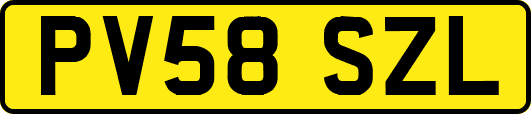 PV58SZL