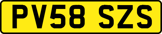 PV58SZS