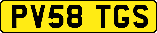 PV58TGS