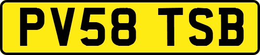 PV58TSB