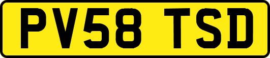 PV58TSD