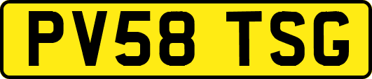 PV58TSG