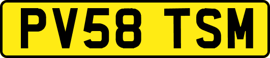 PV58TSM