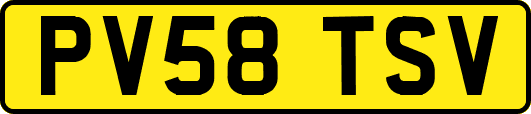 PV58TSV