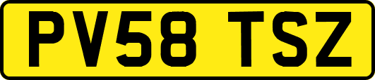 PV58TSZ