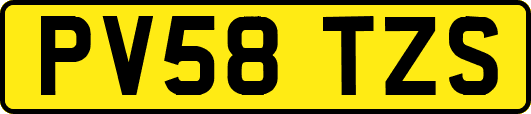PV58TZS