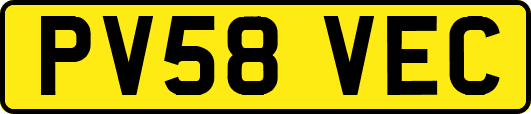 PV58VEC