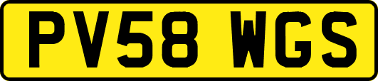 PV58WGS