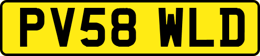 PV58WLD