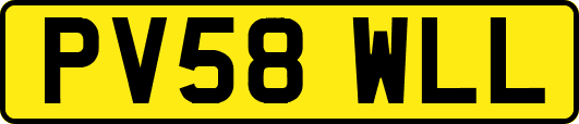 PV58WLL