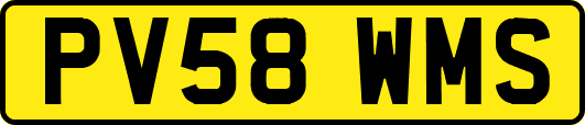 PV58WMS