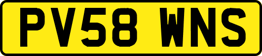 PV58WNS