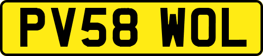PV58WOL
