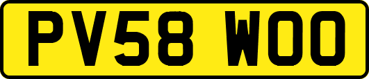 PV58WOO