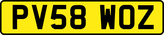 PV58WOZ