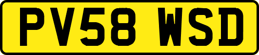 PV58WSD