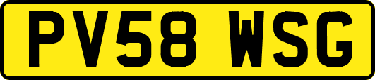 PV58WSG