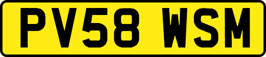 PV58WSM